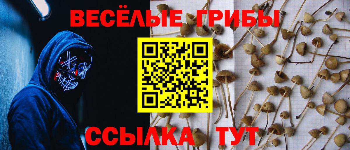 Галлюциногенные грибы Psilocybe  Вход с VPN  наркота  Нововоронеж 
